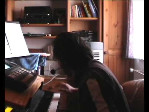 Ti ne licis ni na jednu   Haris Skrijelj