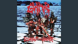 Maggots