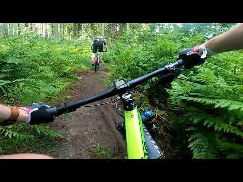 Stoneman Arduenna 2021