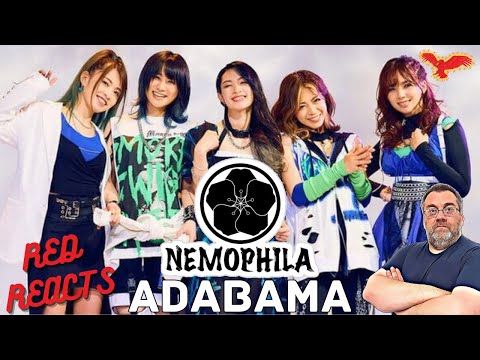 Red Reacts To NEMOPHILA | ADABANA - [Official Music Video]