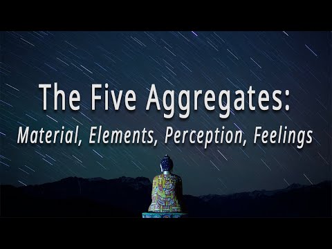 The Five Aggregates: Material, Elements, Perception, Feelings by Joseph Goldstein
