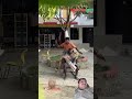 El ‍ ️ Dormilón New Part2 Viral Funny Travieso Comedy