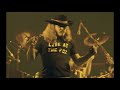 Lynyrd Skynyrd-Swamp Music