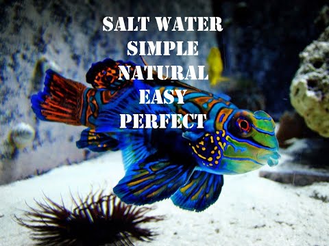 SALT WATER SIMPLE NATURAL EASY PERFECT