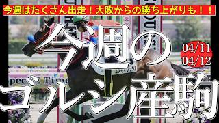 今週のゴールドシップ産駒 (04/11,12)【今週はたくさん出走！大敗からの勝ち上がりも！！／ティラーノ,コスモイシュタルなど】