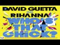 David Guetta ft Rihanna Who's That Chick ...