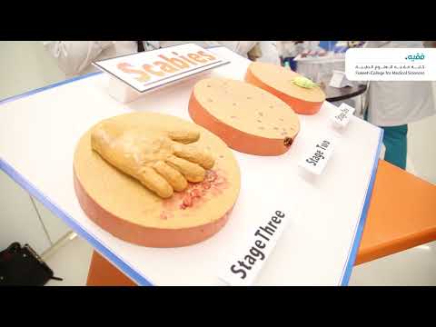 الزيارات المدرسية