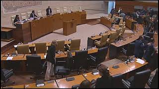 Sesión Plenaria nº 38 25/02/2021