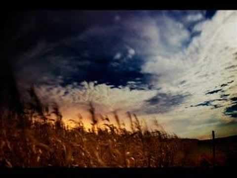 The Wind That Shakes The Corn video