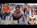 最強に胸に効く腕立て伏せ4種目!絶対に胸が大きくなる超キツイ3分以内で終わるメニュー!!