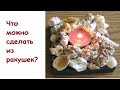 Что можно сделать из ракушек? 