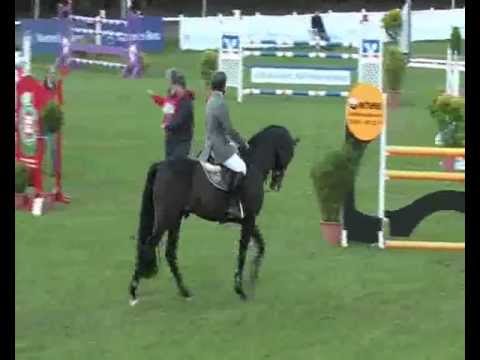 Leovisto (Laucks Locke) - Sportpferde Lauck