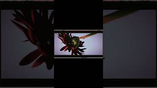 【#盗作ライブ】【#ヨルシカ】【#盗作再演】ヨルシカ LIVE TOUR 2021「盗作」セトリメドレー Guitar&Basscover by フクレモ. #盗作live #キタニタツヤ