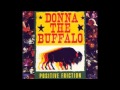 Donna The Buffalo - Arrows Pointing Sideways