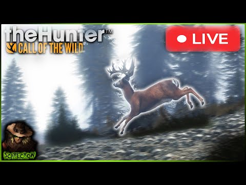 , title : '🔴LIVE🔴DIAMONDS EVERY RUN! 4 GREAT ONE WHITETAIL ON THE MAP! Lets Get EVEN MORE! Call of the wild'