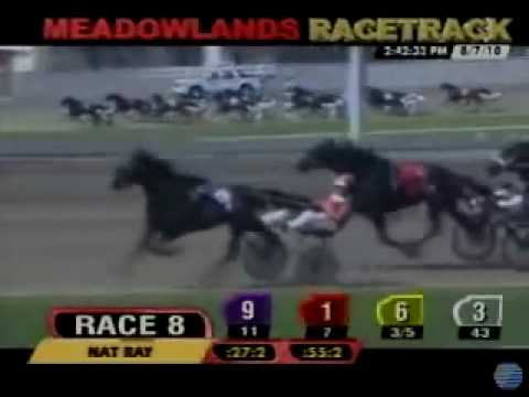 2010 Nat Ray Invitational - theharnessedge.com