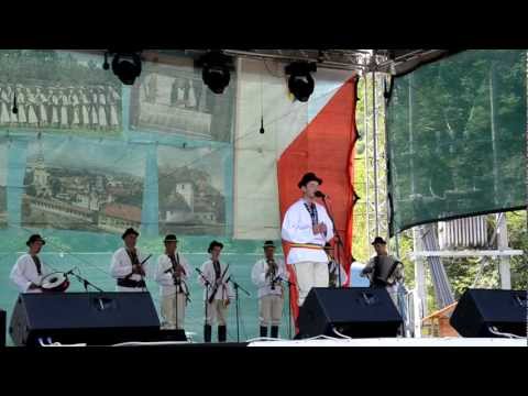 Constantin Deoanca - Foaie verde de mohor