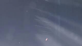 化石がシージしてみた207