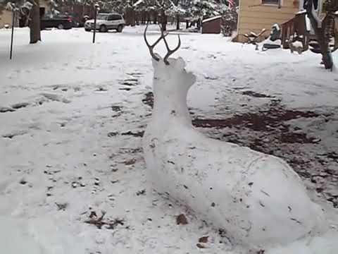 Snow Deer