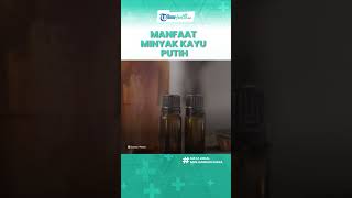 Khasiat Kandungan Minyak Kayu Putih Bagus untuk Kesehatan Tubuh, Termasuk Atasi Keluhan Pernapasan