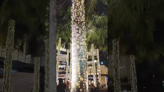 意外にも賑わっているクリスマス過ぎたグリーンベルト #フィリピン #年末 #マカティ