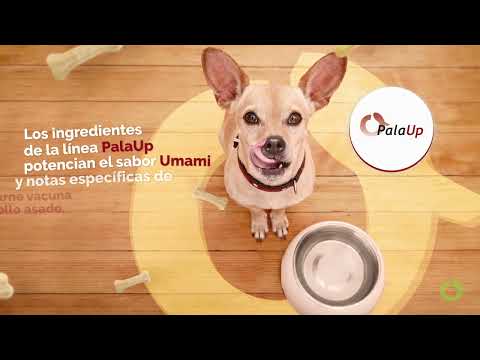 PalaUp: Acercando los paladares del dueño y su mascota