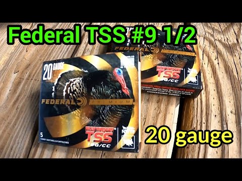 20 Gauge TSS TURKEY ammo REVIEW!!! Apex, Federal, and Nitro company COMPARISON using CARLSON'S CHOKE