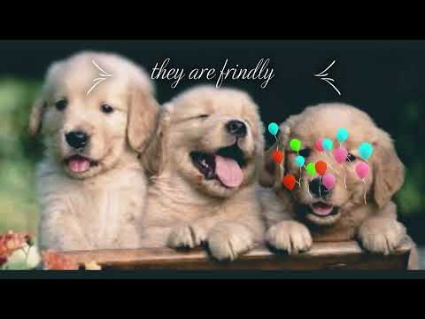 Farida Moataz Said Abdelrahman