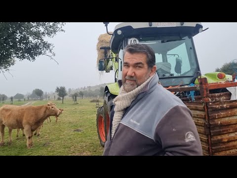 What a storm! We got the cattle out with the tractor. 😉👍
