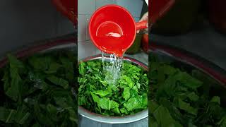 Thạch lá dâu tằm | Mulberry leaf jelly 