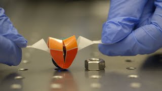 This Robot's Soft Gripper Was Inspired By Japanese Kirigami