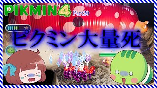 【 ピクミン4 】王の穴後半！クイーンチャッピーやアメボウズがヤバすぎる！【 ゆっくり実況 】Part20