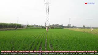 Download lagu TRAGEDI TALI KUTANG   Slamet Pengamen X Dara Ayu X Bajol Ndanu  !!! BERIHKAN RUMPUT DARI BIBIT KECIL mp3