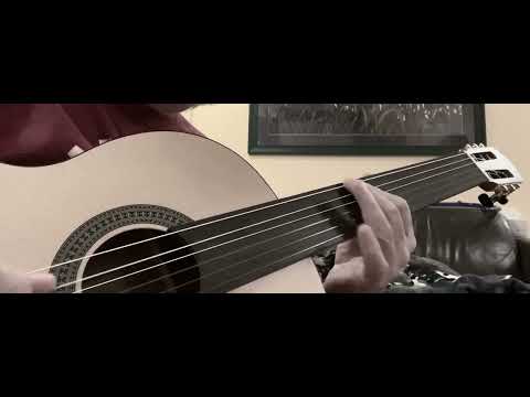 Jeff Knighton 230809 improv on new Tario fretless nylon string from Amazon for $130-ish