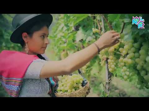 NUESTROS PUEBLOS, NUESTRA PRODUCCIÓN No 10