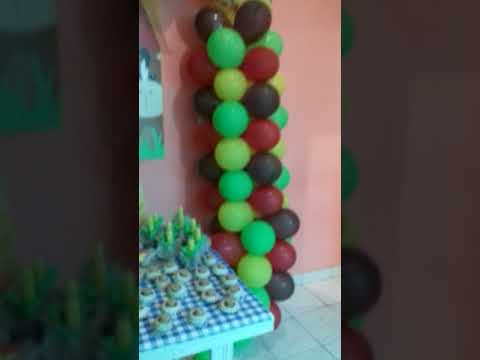 O grande dia chegou a festinha