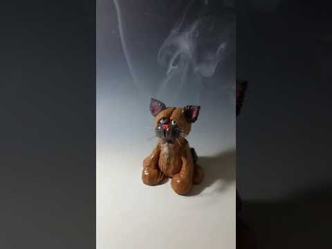smoking bad cat
