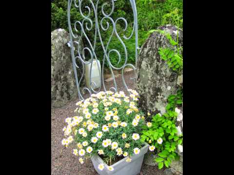 Nova hos oss i Särö