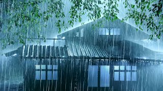 Hypnosis You into Deep Sleep | Torrential Rain on Tin Roof & Mighty Thunder | Relaxing White Noise