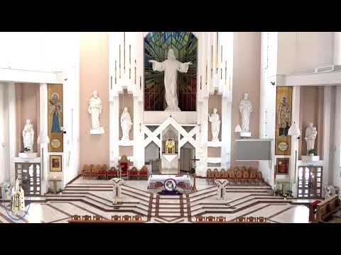 LIVE - Biserica Romano-Catolică  Sfinţii Petru si Paul  Bacau