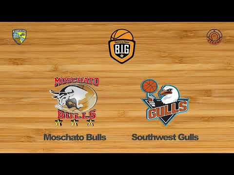 Moschato Bulls 60 - 55 Southwesti Gulls | 1η Αγων. BIG Playoffs Φάση 4 Elite
