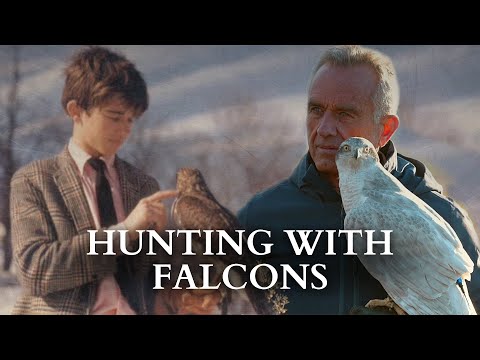 RFK Jr. Describes His Lifelong Love Of Falconry