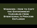 Windows How To Copy The Environment Variables From Sysinternal S Process Explorer