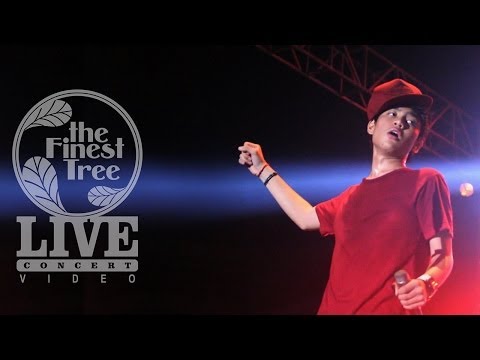 Payphone - The Finest Tree LIVE CONCERT #5 (cover)