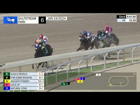 Gulfstream Park Jan 24 2024