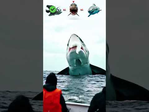 Leviathan vs Giant Shark vs Megalodon😲– Who Wins?