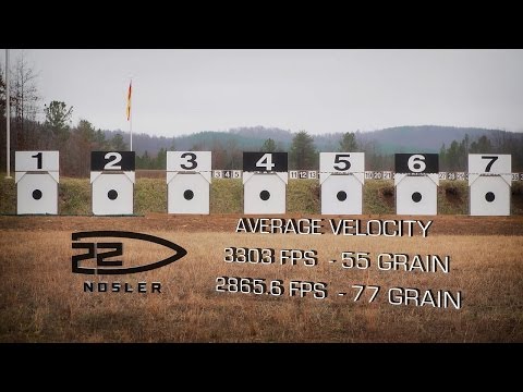 NOSLER BALLISTIC TIP BULLET