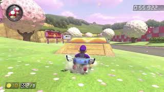 MK8DX rRRy 150cc 1:56.814 (former WR)