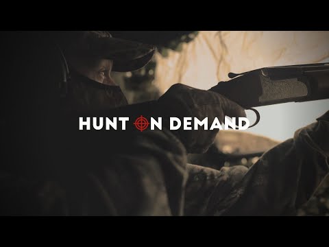 Jagd auf Krähe, Taube und die Erdbeere – Dreispross Hunt on Demand Trailer