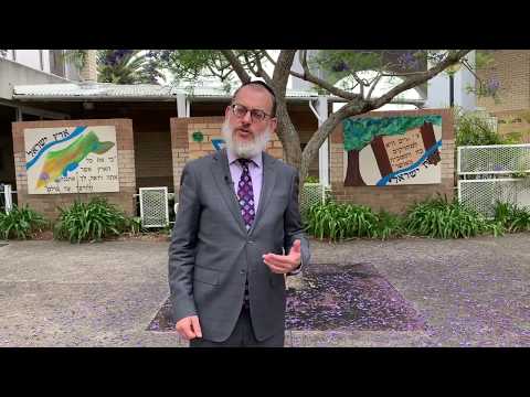 Rabbi Smukler's weekly parsha thought   Toldot